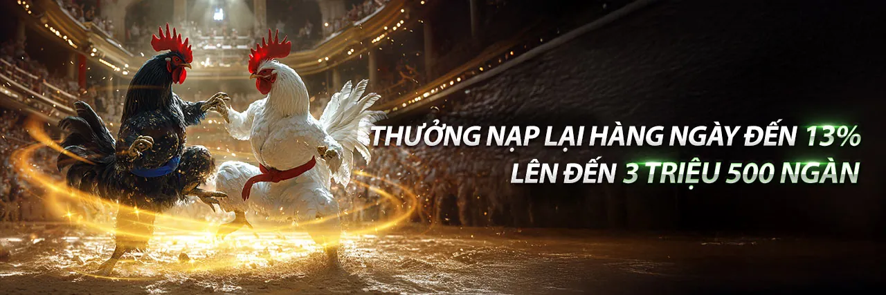 Đá gà trực tuyến kịch tính tại zalv nohu